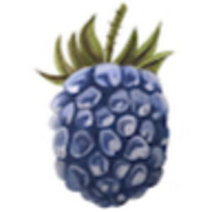 Meet your Posher, Lane davis,